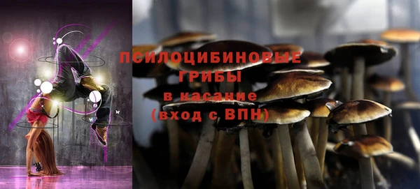 дмт Баксан