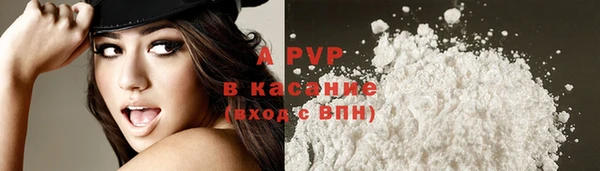 прущие крисы Арсеньев